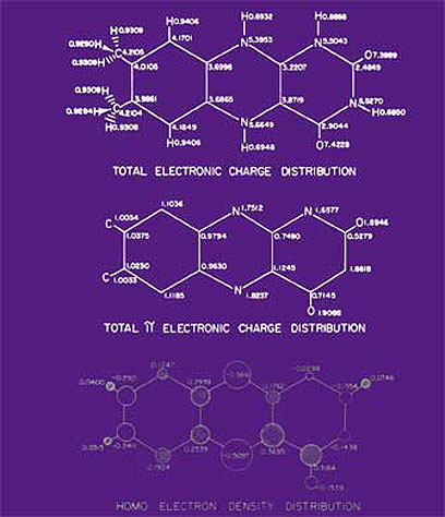 Results of extended Huckel calculations on reduced isoalloxazine