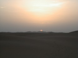 Sahara